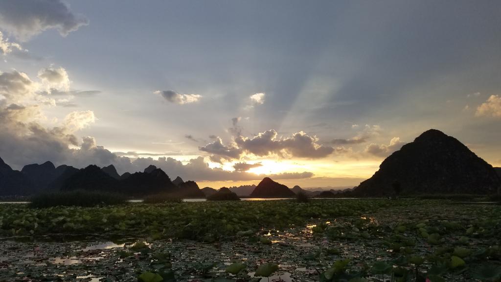 仲夏,荷塘的夕阳的映射下更显几分诗意