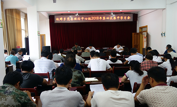 乡(镇)学习